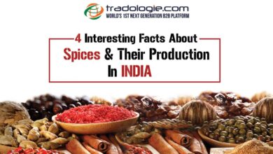 Facts about Spices