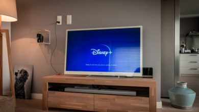 Disneyplus.com login