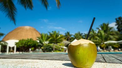 Coconut Straws