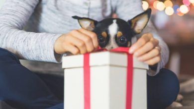 Gift for Dog Lovers