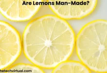 Lemons