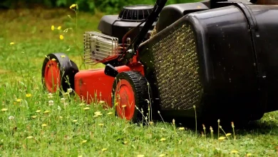 Lawn Care Provider