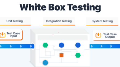 White Box Testing